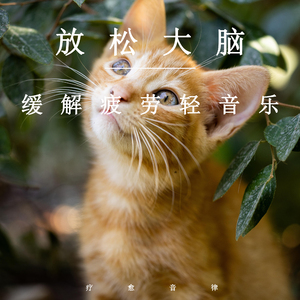 美国第一黄冈网
