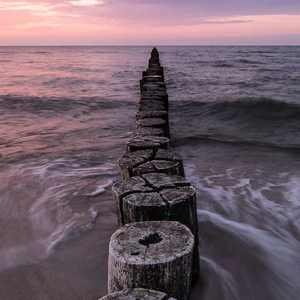 美国第一黄冈网
